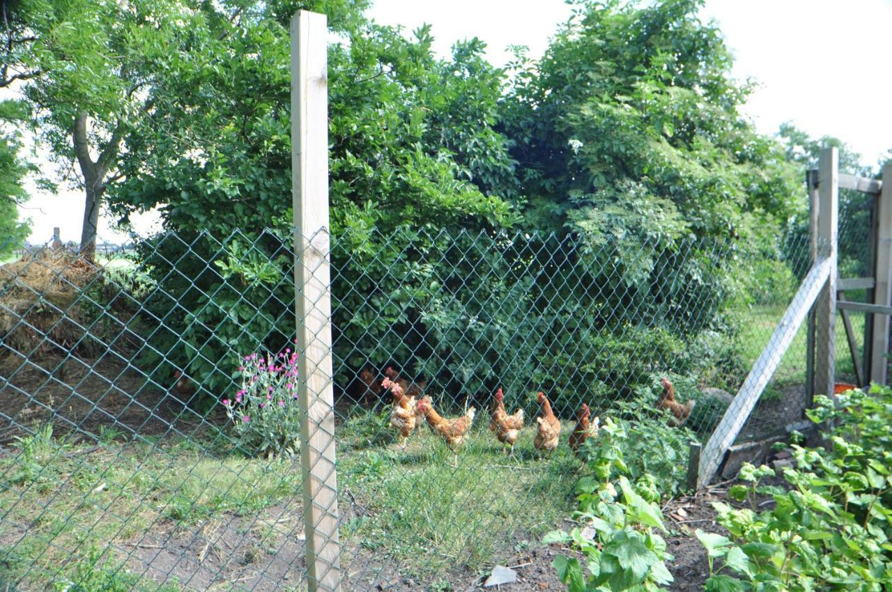 Ferienwohnung Landliebe 65347 Moormerland Eksteriør billede