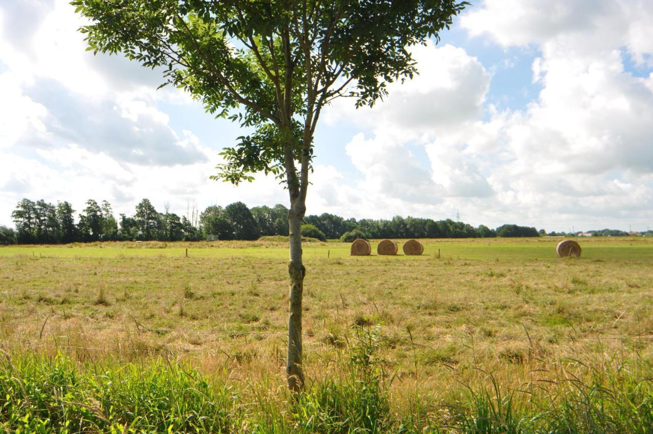Ferienwohnung Landliebe 65347 Moormerland Eksteriør billede